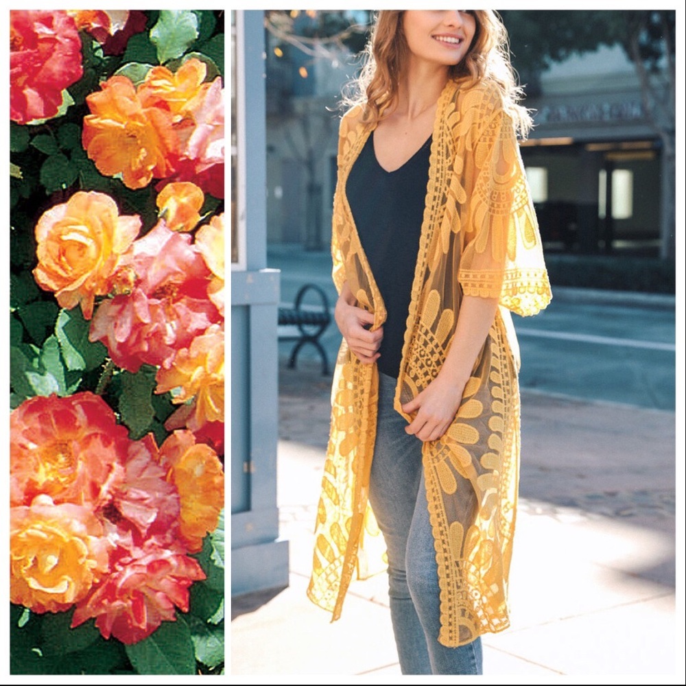 Suzanna Boho Lace and Embroidery Kimono - Picture 3 of 8